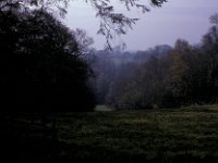 Robin Hill Butterwood Near Greywell Manor House